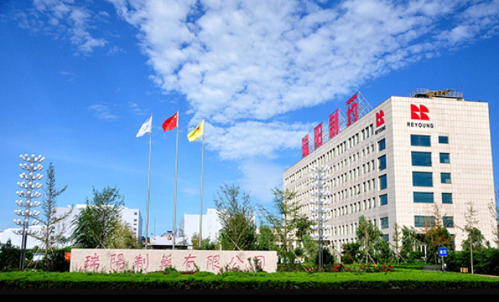 Shandong Reyong Pharmaceutical Co., Ltd.